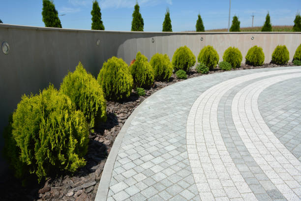 Best Driveway Paving Near Me  in Dover Plains, NY